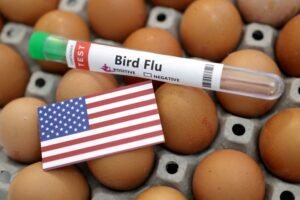 Exclusive: Trump Administration’s Health Department Layoffs Affect Bird Flu Response Team, Insider Reveals