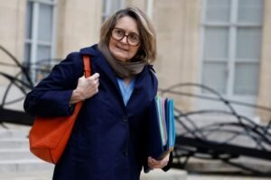 France warns that Trump tariffs might be between 20% and 25%, leading to significant disruption.