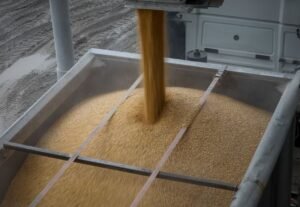 Analyst suggests that US tariffs may provide advantages for Ukraine’s corn industry.
