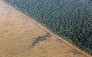 Brazil’s government seeks to secure $2 billion in funding through a new Eco Invest auction.