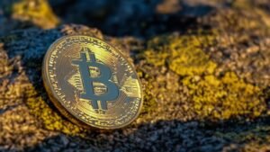 Coinbase Study: 83% of Institutional Investors Aim to Increase Crypto Investments by 2025
