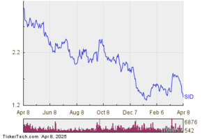 SID Shares Currently in Oversold Condition