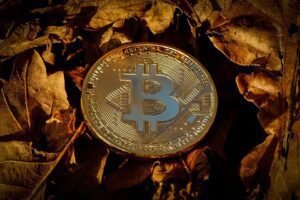 Strategy halts Bitcoin trading following a $5.9 billion loss.