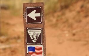 U.S. Drops Green Assessments for Oil and Gas Leases in Western States