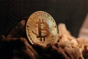 Ultimate Satoshi: Expert Foresees Bitcoin’s Conclusion