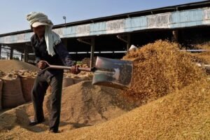 What contentious agricultural challenges arise in India-US trade talks?