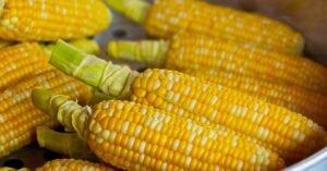 Corn Finishes with Varied Performance on Thursdays