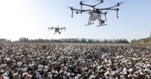 Cotton Blended in Early Wednesday Market Activity