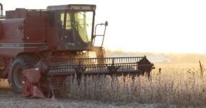 Soybeans Overcome Chinese Tariffs and Surge Towards the Finish