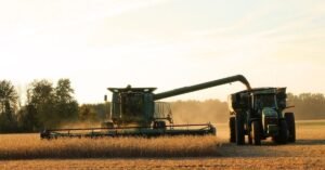 China’s Response to US Agricultural Exports Affects Soybeans, Strengthening Brazil’s Position