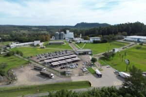 Brazil detects avian influenza in wild bird, probes possible case on commercial farm.