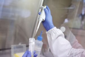 Brazil’s Bird Flu Outbreak Leads to Trade Restrictions for Leading Chicken Exporter
