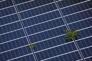 House legislation could stifle solar investment in the U.S., claims leading trade association.