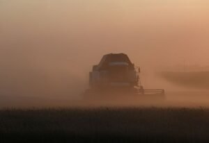 Severe Weather Expected to Impact Harvest in Russia’s Top Grain Area