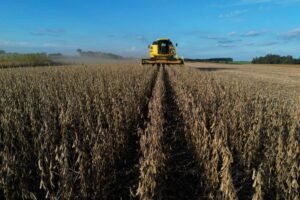 U.S. Soybean Exports Face 20% Decline Without Better Agreement with China