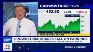 CrowdStrike Declines Due to Weak Forecast and Effects of July IT Disruption