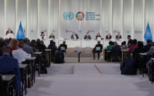 Explainer: What is the High Seas Treaty for Ocean Protection?