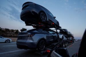 Tesla Uninterested in Local Manufacturing, Minister States, as India Completes EV Policy