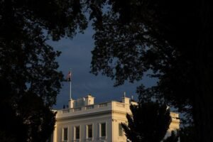 US EPA reportedly plans to suggest biomass-based diesel targets lower than what the industry anticipated, sources indicate.