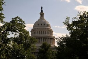 US Senate legislation aims to reduce tax credits for biofuels produced from imported feedstocks.